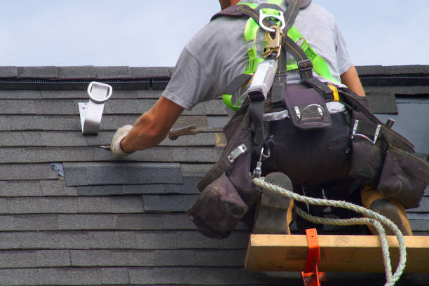 Affordable siding repair and maintenance services in Princeton Meadows, NJ