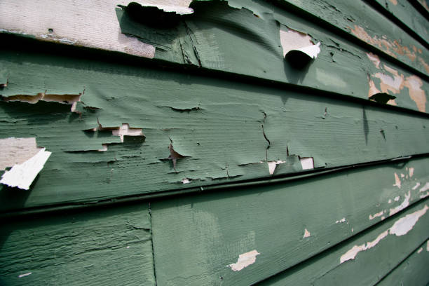 Best Custom Siding Design  in Princeton Meadows, NJ