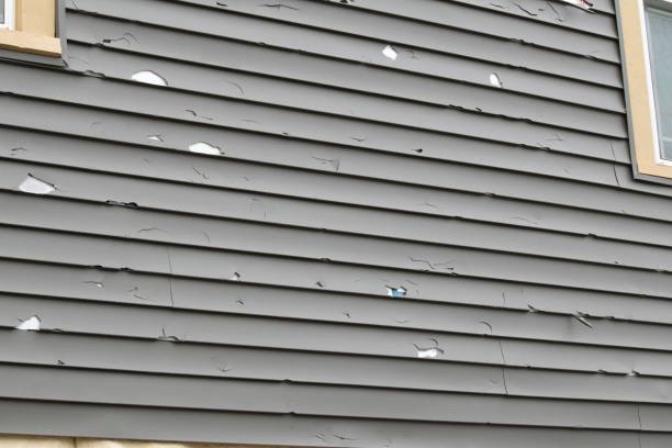 Best Stucco Siding  in Princeton Meadows, NJ