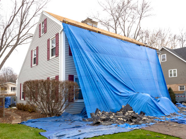 Best Storm Damage Siding Repair  in Princeton Meadows, NJ