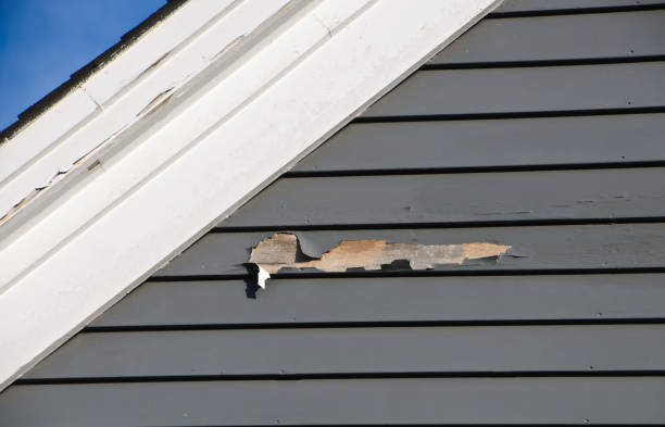 Best Engineered Wood Siding  in Princeton Meadows, NJ