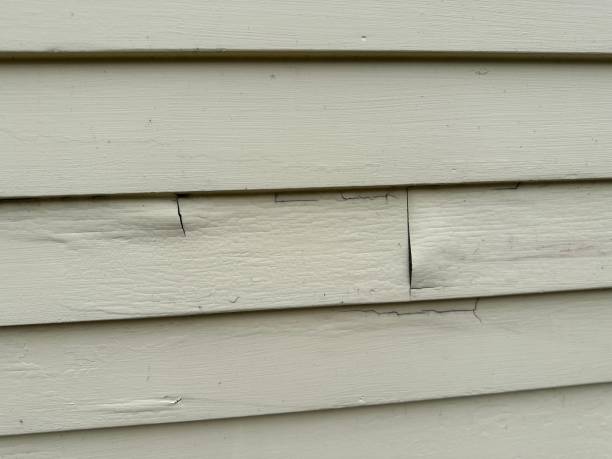 Best Fiber Cement Siding Installation  in Princeton Meadows, NJ